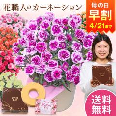 ���� ��̓� �v���[���g �� 2026 �\�� �M�t�g �J�[�l�[�V���� �Ԕ� ���A�� �X�C�[�c ���َq �o�E���N�[�w�� �Z�b�g �I���t�B�J 5�� ���