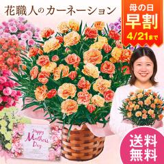 ���� ��̓� �v���[���g �� 2026 �\�� �M�t�g �J�[�l�[�V���� �Ԕ� ���A�� �t�������^�� 5�� ��̓����Ԃ��͂� �y���������z