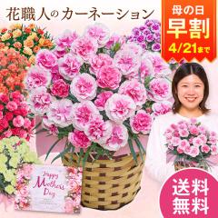 ���� ��̓� �v���[���g �� 2026 �\�� �M�t�g �J�[�l�[�V���� �Ԕ� ���A�� �e�B�[�p�[�e�B�[ 5�� ��̓����Ԃ��͂� �y���������z