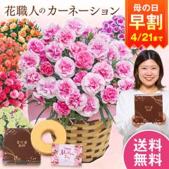 ���� ��̓� �v���[���g �� 2026 �\�� �M�t�g �J�[�l�[�V���� �Ԕ� ���A�� �X�C�[�c ���َq �o�E���N�[�w�� �Z�b�g �e�B�[�p�[�e�B�[ 5��