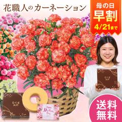 ���� ��̓� �v���[���g �� 2026 �\�� �M�t�g �J�[�l�[�V���� �Ԕ� ���A�� �X�C�[�c ���َq �o�E���N�[�w�� �Z�b�g �I�����W 5�� ��̓�