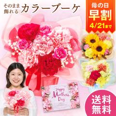 ���� ��̓� �v���[���g �� 2026 �\�� �M�t�g �ԑ� ���̂܂܏���� �J���[�u�[�P �s���N ��̓����Ԃ��͂� �y���������z