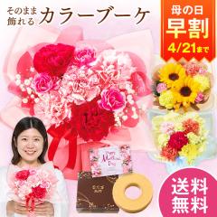 ���� ��̓� �v���[���g �� 2026 �\�� �M�t�g �ԑ� �X�C�[�c ���َq ���̂܂܏���� �J���[�u�[�P �s���N �o�E���N�[�w�� �Z�b�g ��̓�