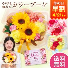 ���� ��̓� �v���[���g �� 2026 �\�� �M�t�g �ԑ� ���̂܂܏���� �J���[�u�[�P �C�G���[ ��̓����Ԃ��͂� �y���������z