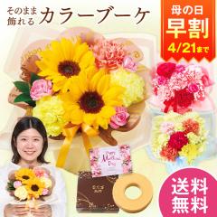 ���� ��̓� �v���[���g �� 2026 �\�� �M�t�g �ԑ� �X�C�[�c ���َq ���̂܂܏���� �J���[�u�[�P �C�G���[ �o�E���N�[�w�� �Z�b�g ���