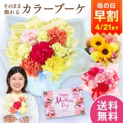 ���� ��̓� �v���[���g �� 2026 �\�� �M�t�g �ԑ� ���̂܂܏���� �J���[�u�[�P �~�b�N�X ��̓����Ԃ��͂� �y���������z