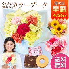 ���� ��̓� �v���[���g �� 2026 �\�� �M�t�g �ԑ� �X�C�[�c ���َq ���̂܂܏���� �J���[�u�[�P �~�b�N�X �o�E���N�[�w�� �Z�b�g ���