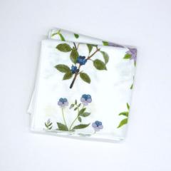 �R���� �K�[�[�n���J�`�uplants�v| KAYO AOYAMA �k�� �R�b�g��100�� ���� �K�[�[ �傫�� �n���J�`�[�t �^�I�� �� ���I �J���t�� �唻