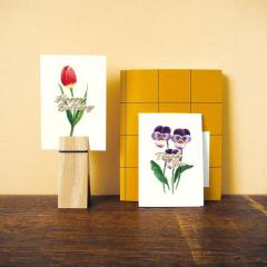 SCINTILLER �T���e�B�G �O���[�e�B���O�J�[�h�b�a�����J�[�h ���b�Z�[�W�J�[�h �M�t�g �o�[�X�f�[�J�[�h �h�J �}�g�J