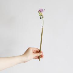 �ǂɊ|���Ďg���� BRASS�̃X�e�B�b�N�t�����[�x�[�X�iL�T�C�Y�j�b�^�J BRASS �u���X �A���e�B�[�N�� �V���v�� �f�B�X�v���C �B�e �^�J�G