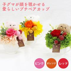 �v���U�[�u�h�t�����[ �A�����W �v�`�x�A�J�b�v �t�����[�M�t�g ������� �e�B�[�J�b�v �ʂ������ ���� �͂�Ȃ� ���� �� AP-2505 ���b