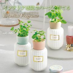 �{�^�j�J�� �t���O�����X �n�[�u�͔| �A���}�f�B�t���[�U�[�� �����݃J���[ ������� �C���e���A ��Ă� �n�[�u �K�[�f�j���O �L�b�g ��