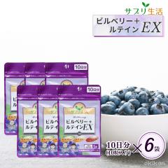 �y�����z�T�v������ �r���x���[�{���e�C�� EX 10���~6�܃Z�b�g �h�{�@�\�H�i(�r�^�~��A) ��2������ �k���Y�r���x���[ �A�X�^�L�T���`�� 