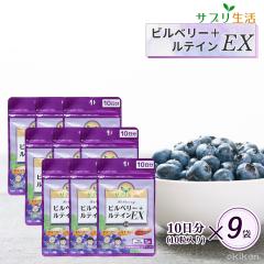 �y�����z�T�v������ �r���x���[�{���e�C�� EX 10���~9�܃Z�b�g �h�{�@�\�H�i(�r�^�~��A) ��3������ �k���Y�r���x���[ �A�X�^�L�T���`�� 