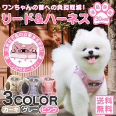 犬 ハーネス 犬用 イヌ 首輪 リード 服 脱げない おしゃれ 小型犬 中型犬 かわいい 送料無料 ペット ペット用 ネコ 猫 猫用 ドッグウェ