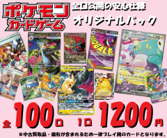 ポケモンカード PSA10 イーブイex SAR 224/187 テラスタルフェス収録
