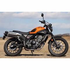 ビキニカウル　CB1100　パールセイレンブルー　ワールドウォーク　汎用品 ワールドウォーク CB1100 汎用ビキニカウル DS-01 typeR（パール