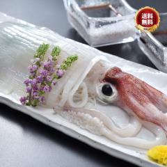 �_��5���Ŋl�ꂽ�Ă� �C�J�h�� �^-80���}���Ⓚ�I�N�x���Q �u���悢��������2�l�O�^����v �R�� ���悢�� �������� �v���[���g ���� ��