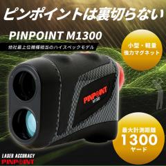 ���[�U�[�A�L�����V�[ �s���|�C���g M1300 ���[�U�[��������� LASER ACCURACY PINPOINT ���{���K�i