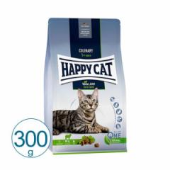 HAPPY CAT t@[  300g   Lbgt[h hC Rv[gt[h Lp