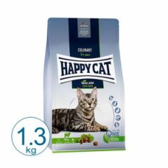 HAPPY CAT t@[  1.3kg   Lbgt[h hC Rv[gt[h Lp