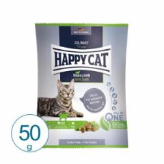 HAPPY CAT t@[  50g   Lp Lbgt[h hC Rv[gt[h Lp