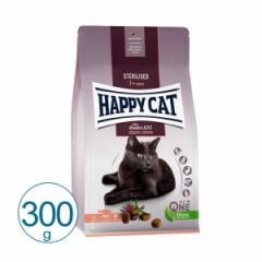 HAPPY CAT XeACYh 300g  Lbgt[h hC Rv[gt[h D