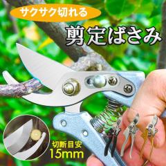 �y�󂠂�z����΂��� ����͂��� �}�؂�o�T�~ ���|�p�͂��� �}����΂��� �����} ��؂̙��� �� �K�[�f�j���O ������� �K�тɂ��� ��