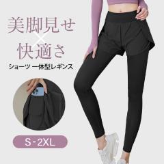 �y�V���[�g�p���c��̌^���M���X ���f�B�[�X�z �V���[�g�p���c�t�� �n�C�E�G�X�g �L�k�����Q �X�|�[�c ���K �z������ ���r ���� �t�F�C�N