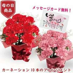 ��̓� �v���[���g �J�[�l�[�V���� 10�{�@�A�����W�����g �J�[�l�[�V�����A�����W �v���[���g �� �M�t�g �J�[�l�[�V���� �� ���� ���A�� 