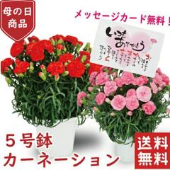 ��̓� �v���[���g �J�[�l�[�V���� 5�� 5�� �J�[�l�[�V�����@���A�� �v���[���g �� �M�t�g �J�[�l�[�V���� �� ���� ���A�� �J�[�l�[�V��