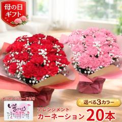 ��̓� �J�[�l�[�V���� 20�{�A�����W�����g �J�[�l�[�V�����A�����W �v���[���g �� �M�t�g �J�[�l�[�V���� ���� �������� �J�[�l�[�V����