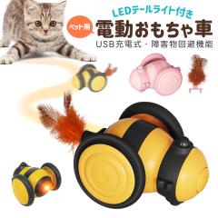 �d���������� �L����炵 �L�p�������� �ߋ� �[�d�� �l�R ���� �J���t����LED�t �y�b�g�p�i �V�� �q�L �^���s������ �X�g���X���U