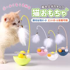 �L�p�������� �ߋ� �L �l�R ���邭�� �{�[�� ���� �y�b�g�p�i �V�� �^���s������ �X�g���X���U �H �ӂ�ӂ� ����� ���u��