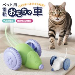 �d���������� �l�Y�~�������� �ߋ� �[�d�� �l�R �����R ���� �J���t����LED�t �y�b�g�p�i �V�� �q�L �^���s������ �X�g���X���U