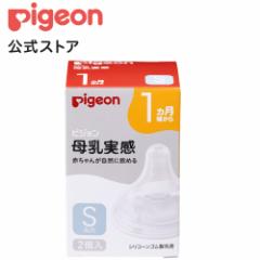 sW pigeon  1 S 2 1` Mr  xr[pi  V  ݌ Mr tւ Ԃ