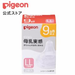 sW pigeon  9 LL 2 9` Mr xr[pi  V  ݌ Mr tւ Ԃ