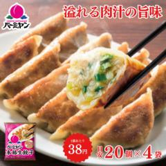  ⓀHi y Lq/o[~ {iLq 20(ڈ)~4/M[U 傤 ⓀLq ؑy y  ٓ t