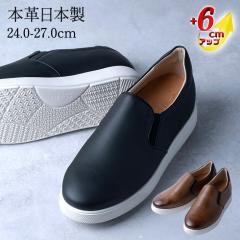 �V�[�N���b�g�X�j�[�J�[ ���U�[�X�j�[�J�[ �����Y �{�v ���Y ���v �~�j�}���T�C�h�S�A�X���b�|�� 6cm�A�b�v�@No.832