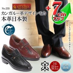 �V�[�N���b�g�V���[�Y �r�W�l�X�V���[�Y �{�v ���Y �J���K���[�v �f�U�C�� ���J 7cm�A�b�v No.235