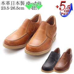 �J�W���A�� �V�[�N���b�g�V���[�Y �{�v �����Y ���v �J�W���A��70�X���b�|�� �T�C�h�S�A 5.5cm�A�b�v No.523