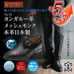 �r�W�l�X�V���[�Y �ʋC�� �V�[�N���b�g�V���[�Y 5�����A�b�v ���{��  �J���K���[�v ���b�V�� �����N No.75