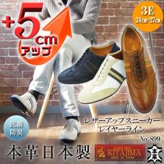 �V�[�N���b�g�X�j�[�J�[ ���U�[�X�j�[�J�[ �����Y �{�v ���Y ���v ���C���[���C�� 5cm�A�b�v�@No.899