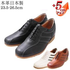 �V�[�N���b�g�X�j�[�J�[ ���U�[�X�j�[�J�[ �����Y �{�v ���Y ���v �X�����g���C�� 5cm�A�b�v�@No.997