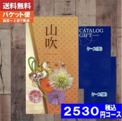 |�J�^���O�M�t�g| ���i���F�y��������/��������/�ǐՂł��郁�[���ցz  ���j�� �|�P�b�g �|�P�b�gAYL �R��(��܂Ԃ�)��ʁE�l�C�r�[/ �V