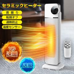 yňlzZ~bNq[^[ lZT[t t@q[^[ 1bg Rx 12 @\ ^C} Rt ^[^