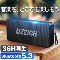 スピーカー Bluetooth5.3 ポータブルスピーカー 高音質・重低音 36時間連続再生 IPX7防水 耐衝撃 SDカード/AUX対応