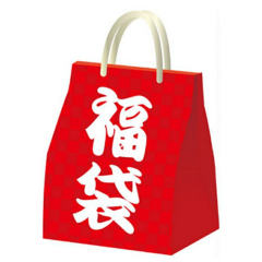 選べる福袋 2点セット お試し お手頃価格 レディースアパレル お楽しみ 送料無料 フリーサイズ セット価格 売れ筋 残り物 在庫処分 クリ