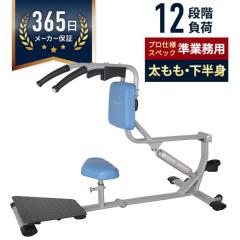 ݌ɂ X^fBObOCY GYM}V Ɩp g[jO tBbglX qbvAbv pP 12iK N D