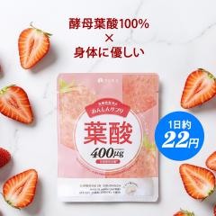 �m���񂵂�T�v�� �t�_�n �t�_�T�v�� �y��t�_100�� 400��g �D�� �D�P ������ 90�� ��45���� ���{�� ���� �r�^�~�� �ۑ����E���F���E����